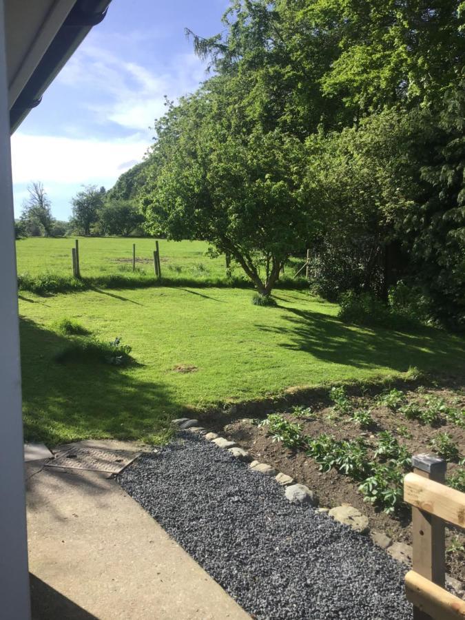 3 Bedroom Bungalow In Llanrhaeadr Ym Oswestry Eksteriør billede
